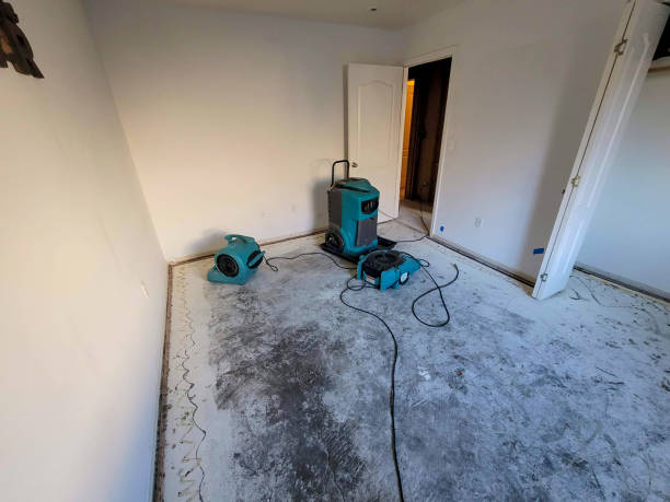 Carpet water damage restoration in Ladonia, AL