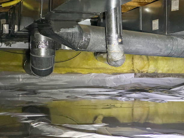 Best Water damage restoration near me  in Ladonia, AL