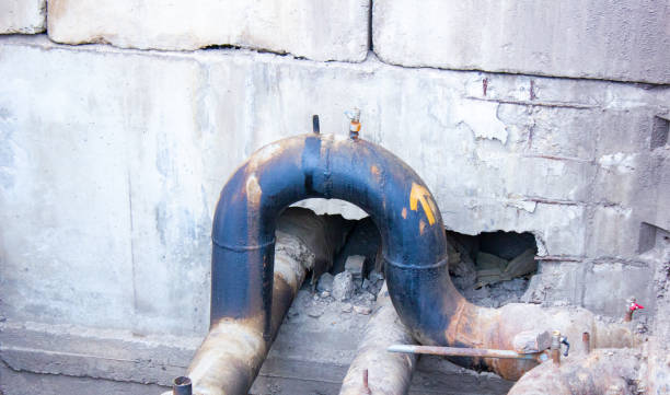 Best Water damage restoration insurance claims  in Ladonia, AL